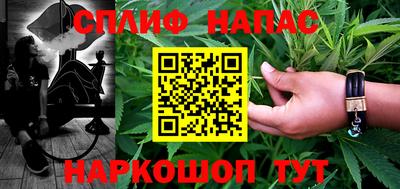 сатива Будённовск