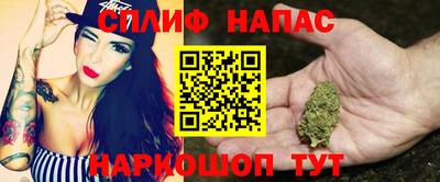 сатива Будённовск