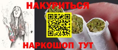 сатива Будённовск