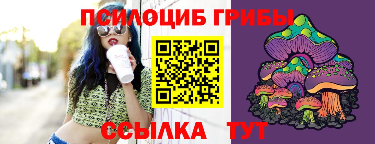 Галлюциногенные грибы GOLDEN TEACHER  Вход с VPN  Саратов 